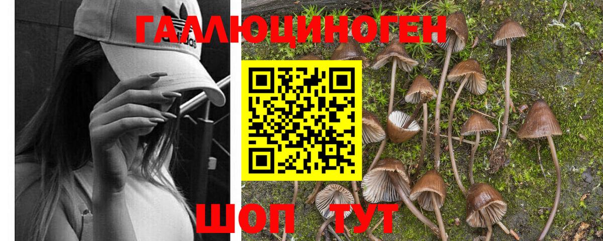 Псилоцибиновые грибы GOLDEN TEACHER  Вход с VPN  Гулькевичи 