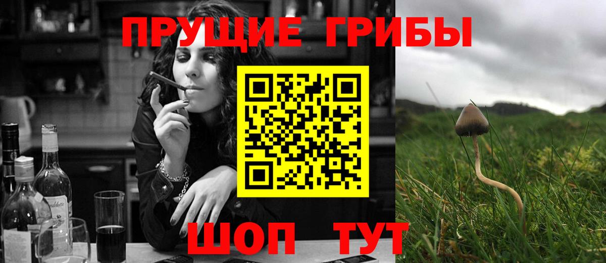 Псилоцибиновые грибы Magic Shrooms Гулькевичи